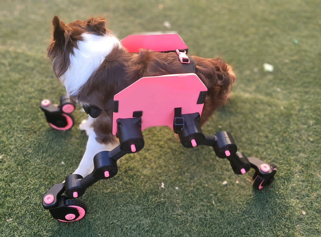 Dog Wheelchair X (experimental)