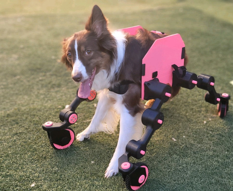 Dog Wheelchair X (experimental) – Crispys3DPrinting