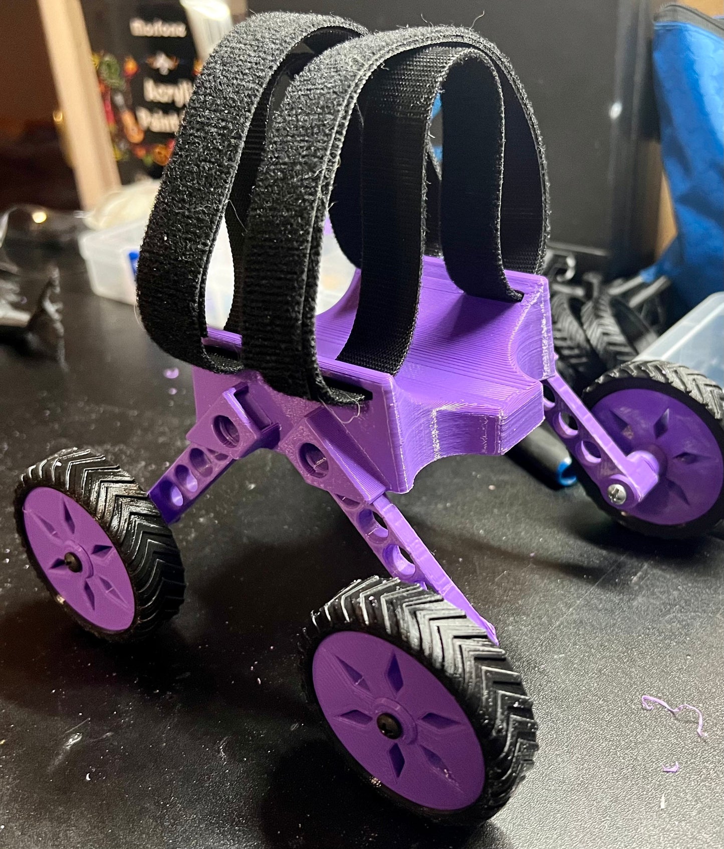Puppy training wheelchair.