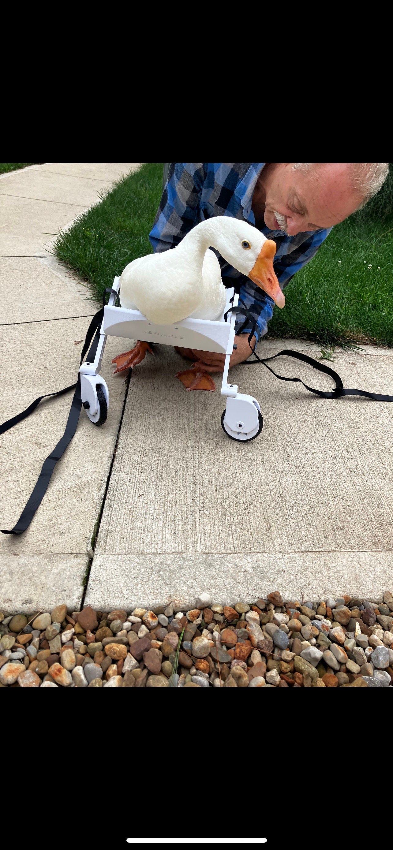 Ducky’s wheelchair
