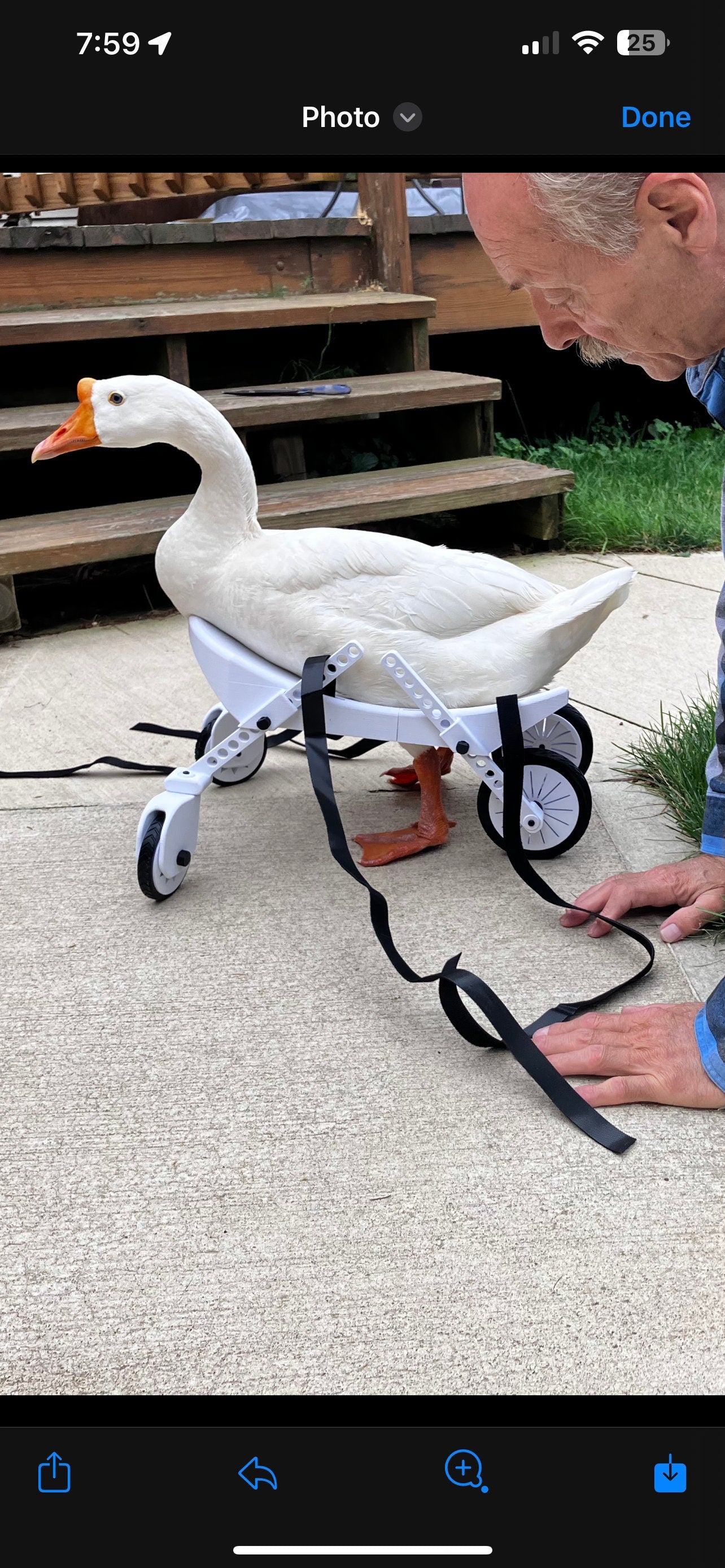 Ducky’s wheelchair