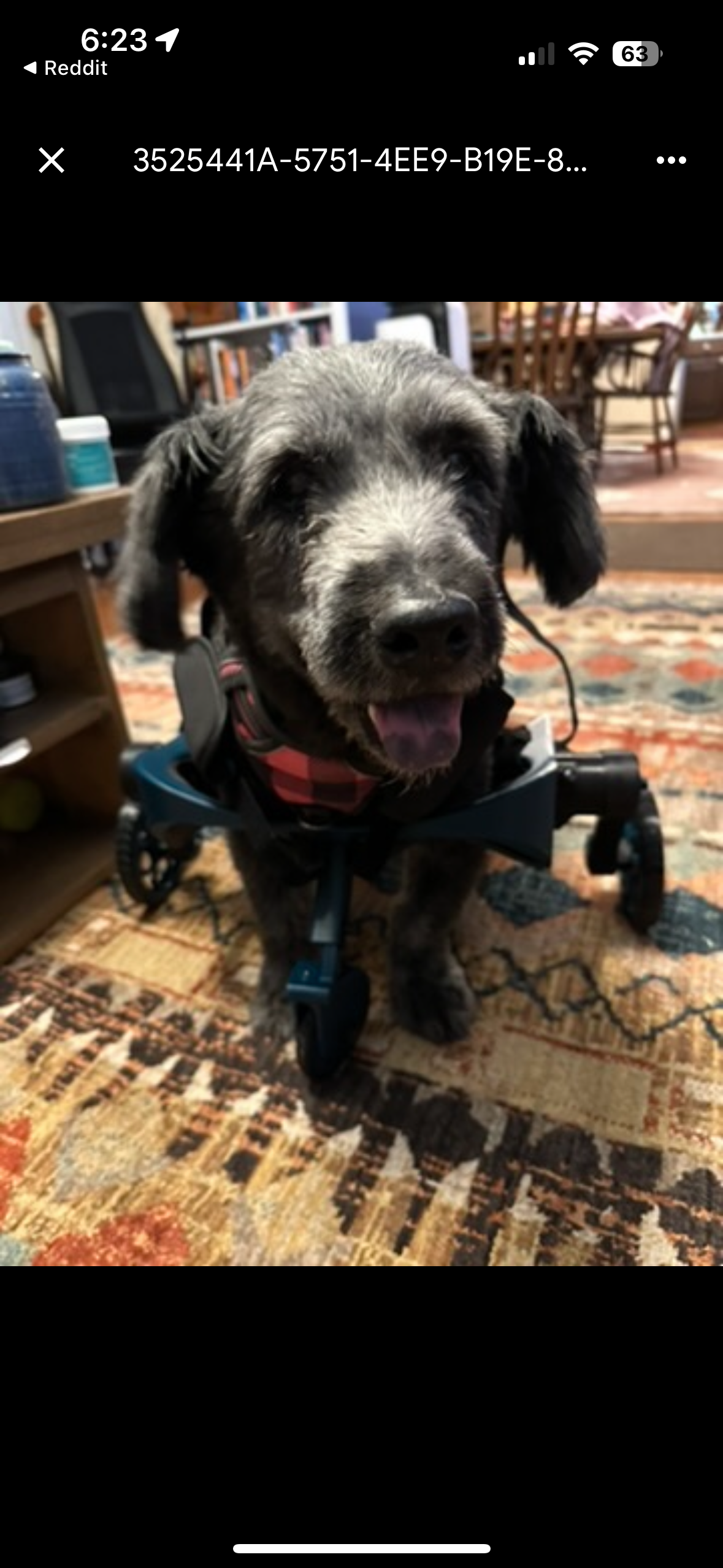 Dog Wheelchair for Front legs