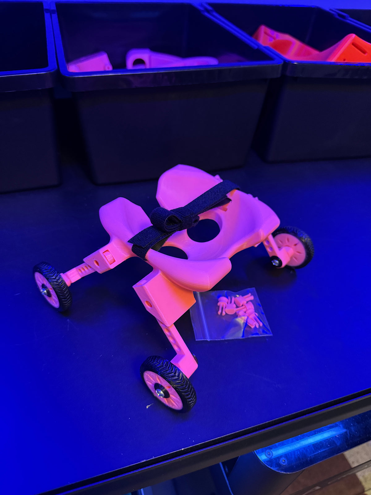 Tiny bird wheelchair