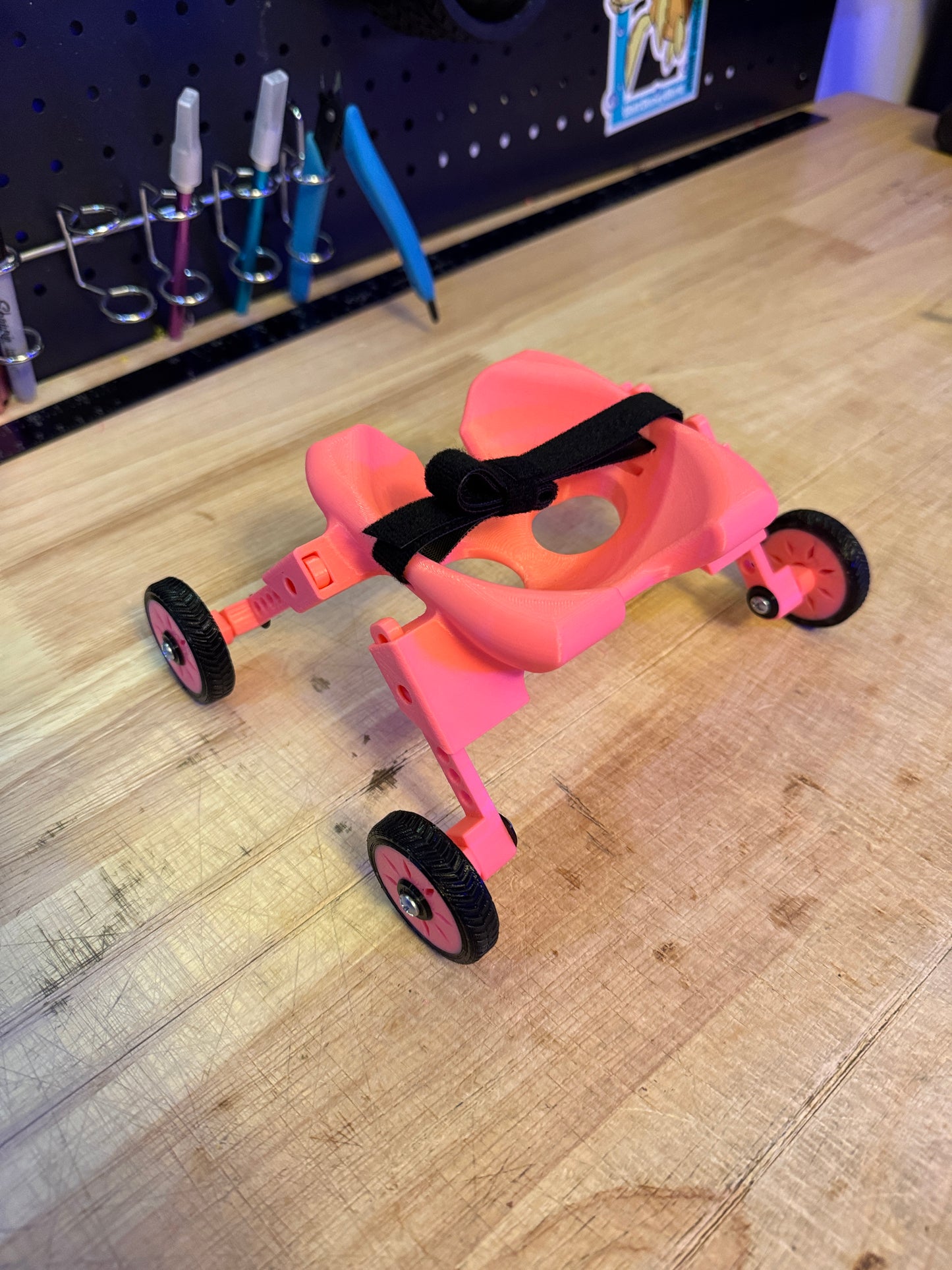 Tiny bird wheelchair
