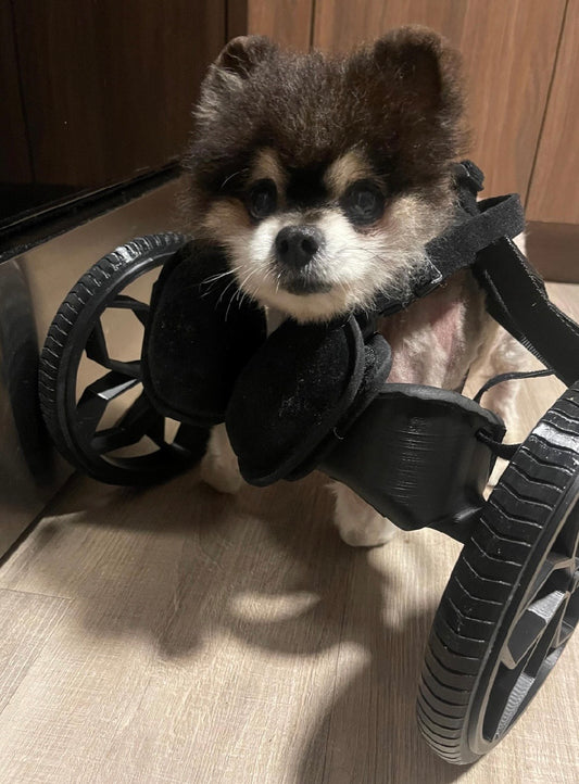 Dog Wheelchair for Front legs