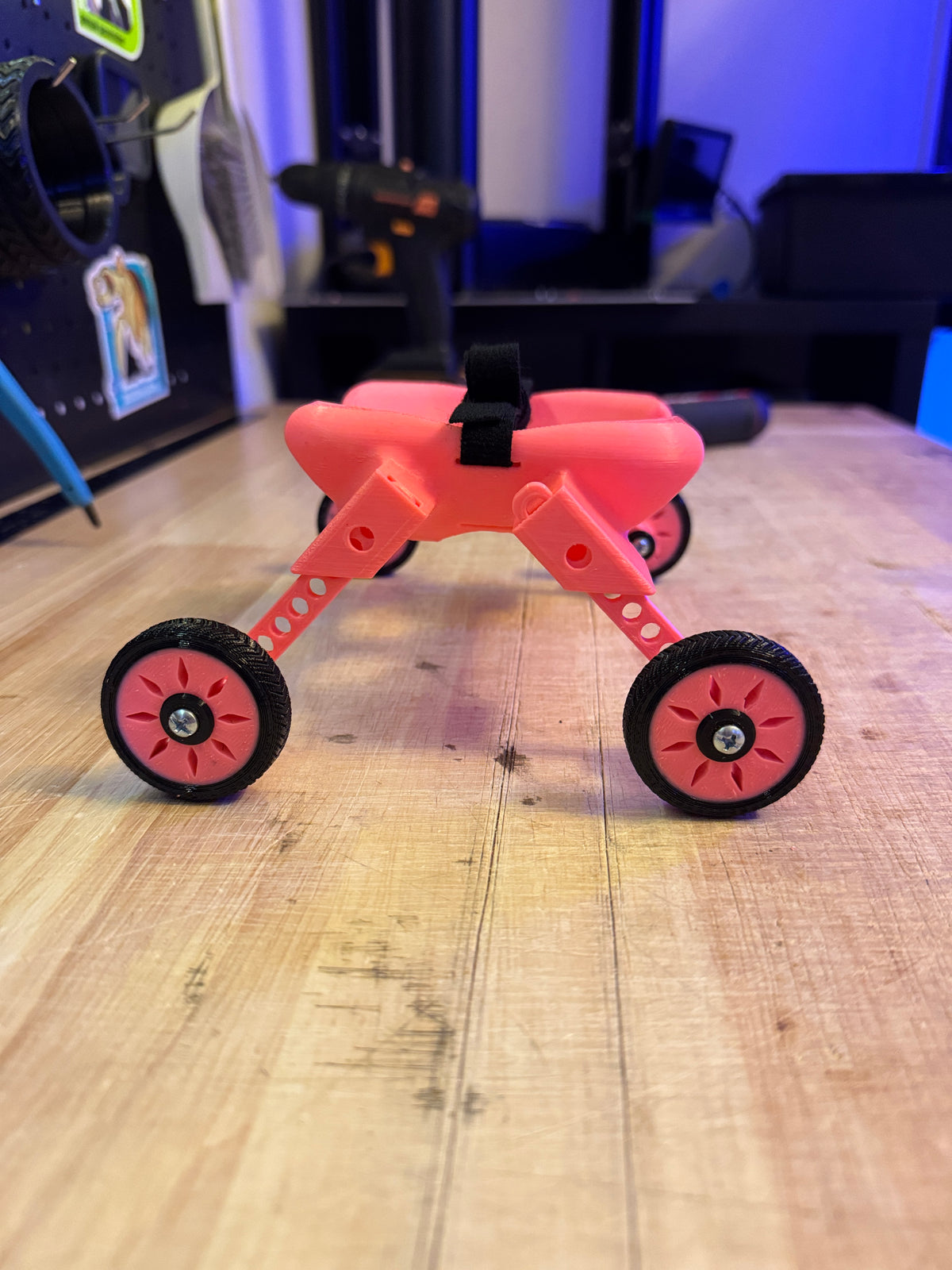 Tiny bird wheelchair