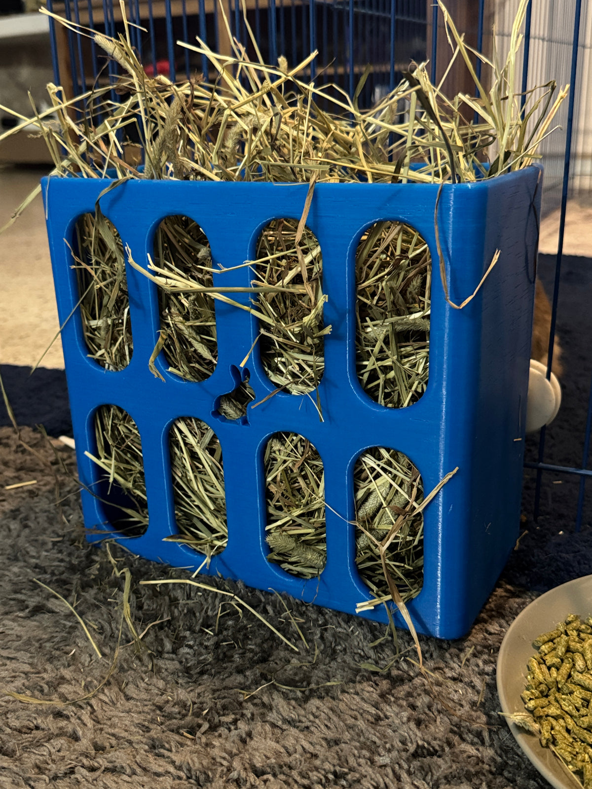 Rabbit Hat Feeder