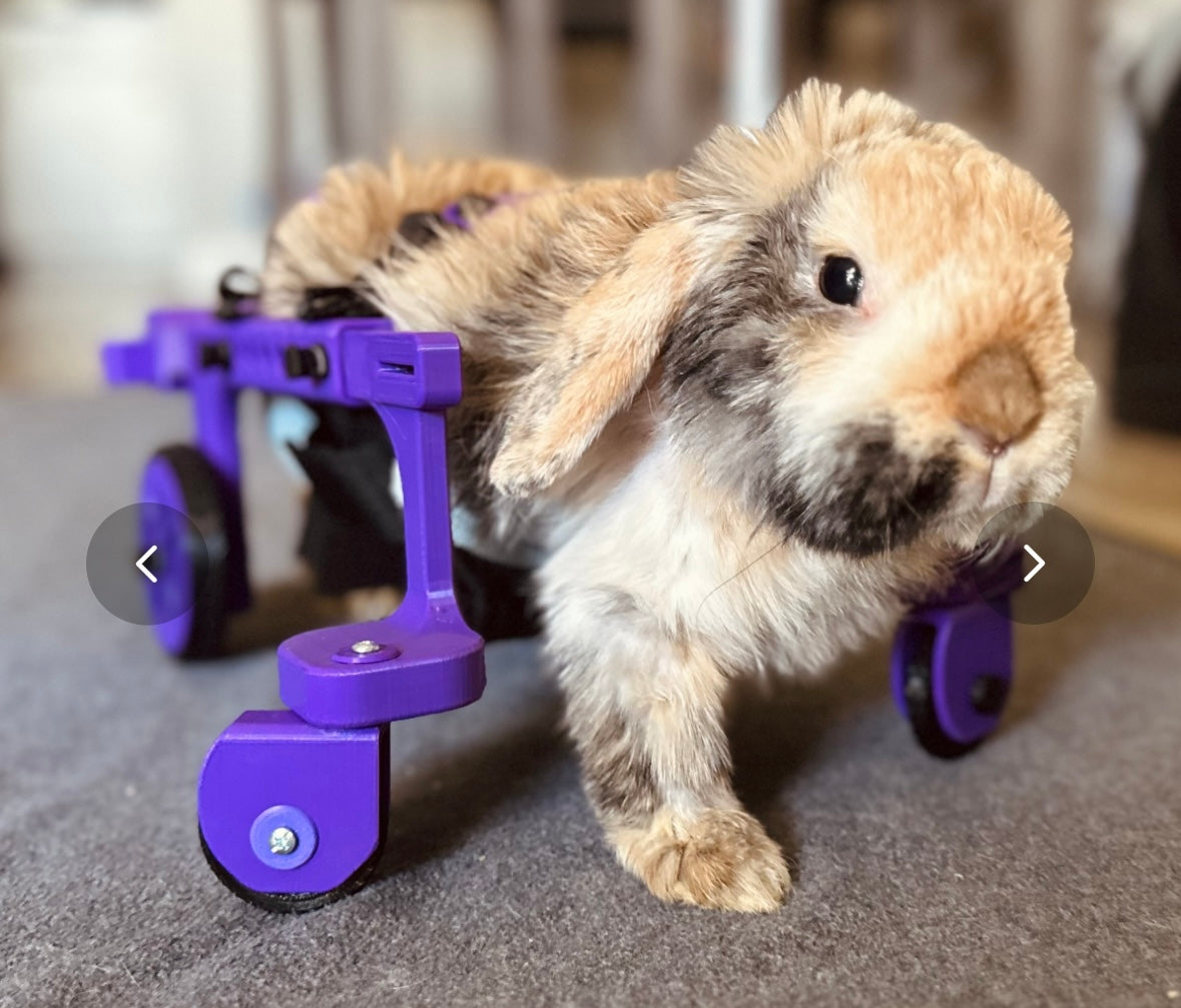 RabbitRoamer  V2 prototype