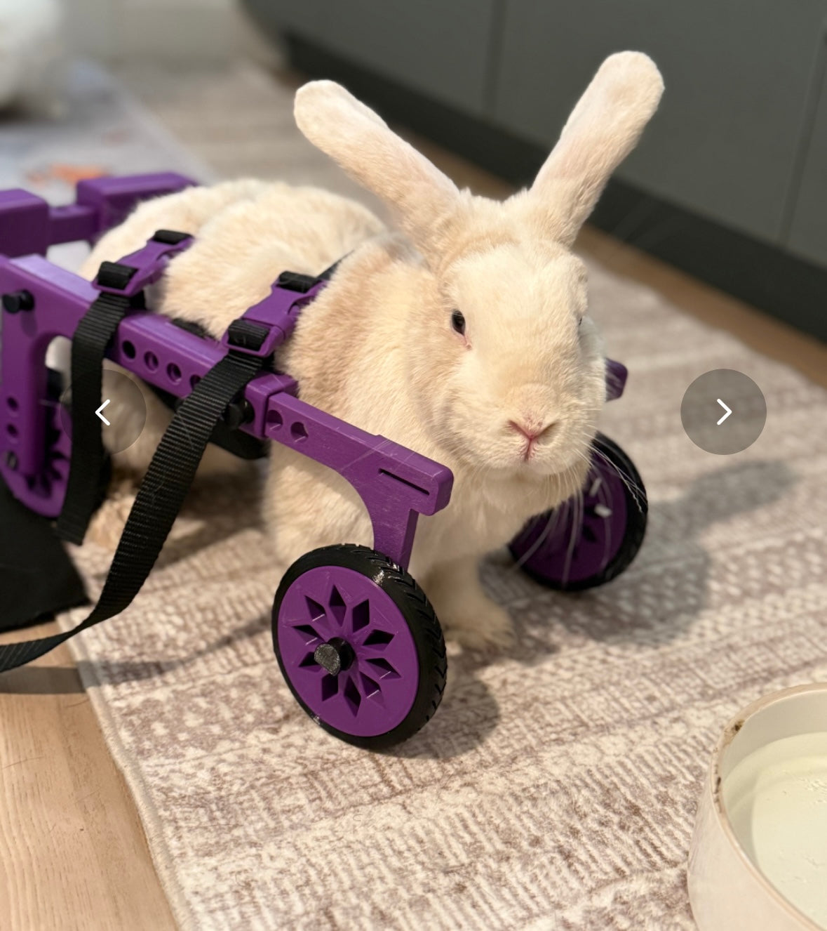 RabbitRoamer  V2 prototype