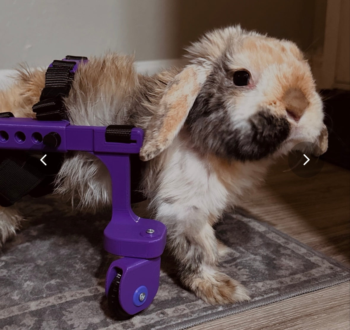 RabbitRoamer  V2 prototype